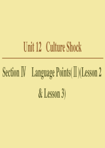 2019-2020学年高中英语 Unit 12 Culture Shock Section Ⅳ La