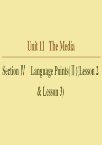 2019-2020学年高中英语 Unit 11 The Media Section Ⅳ Langua