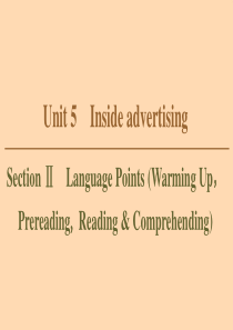 2019-2020学年高中英语 Unit 5 Inside advertising Section 