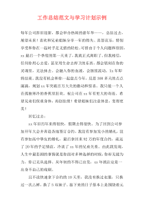 工作总结范文与学习计划示例