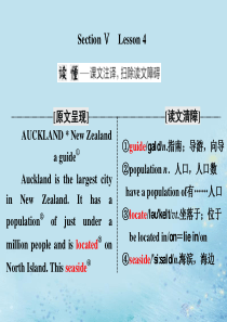 2019-2020学年高中英语 Unit 4 Cyberspace Section Ⅴ Lesson