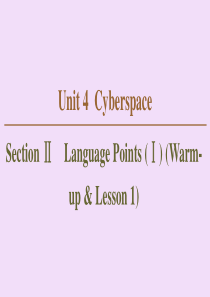 2019-2020学年高中英语 Unit 4 Cyberspace Section Ⅱ Langua