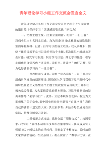 青年理论学习小组工作交流会发言全文