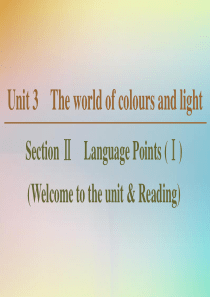 2019-2020学年高中英语 Unit 3 The world of colours and li