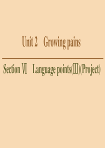 2019-2020学年高中英语 Unit 2 Growing pains Section Ⅵ Lan