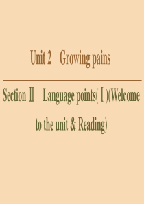 2019-2020学年高中英语 Unit 2 Growing pains Section Ⅱ Lan