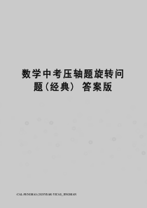 数学中考压轴题旋转问题(经典)答案版