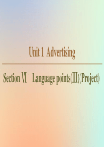 2019-2020学年高中英语 Unit 1 Advertising Section Ⅵ Langu