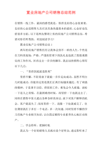 置业房地产公司销售总结范例