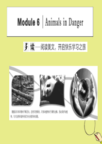 2019-2020学年高中英语 Module 6 Animals in Danger Section