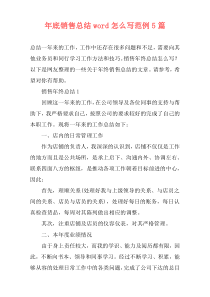 年底销售总结word怎么写范例5篇