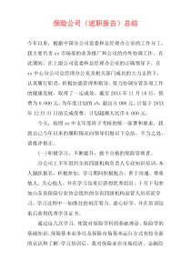 保险公司（述职报告）总结