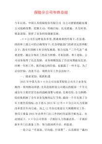 保险分公司年终总结