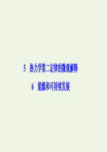 2019-2020学年高中物理 第十章 热力学定律 5+6 能源和可持续发展课件 新人教版选修3-3