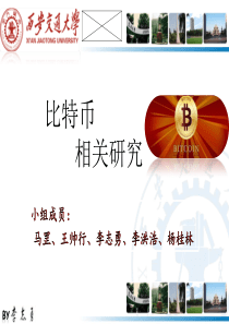 bitcoin比特币研究