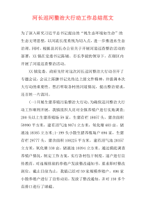 河长巡河整治大行动工作总结范文