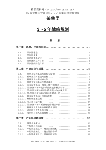 某集团3～5年战略规划--流苏张