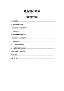 商业地产项目代理策划方案