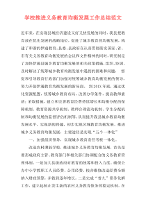 学校推进义务教育均衡发展工作总结范文