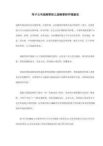 母子公司战略管控之战略管控环境建设(doc5)(1)