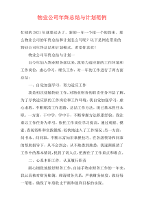 物业公司年终总结与计划范例