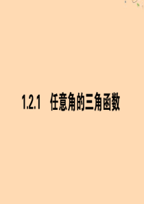 2019-2020学年高中数学 第一章 三角函数 1.2.1.1 任意角的三角函数（一）课件 新人教