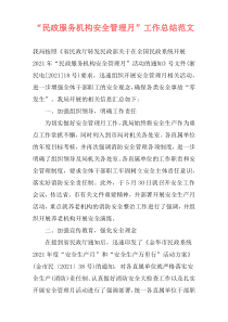 “民政服务机构安全管理月”工作总结范文