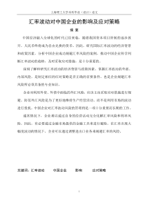 汇率波动对中国企业的影响及应对策略（DOC 38页）