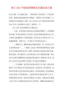 员工2021年度试用期转正长篇总结5篇