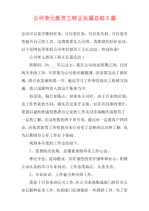 公司单元新员工转正长篇总结5篇