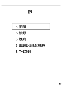 江苏牧羊集团战略和组织结构报告(1)