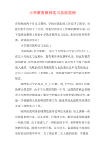 小学教育教师实习总结范例