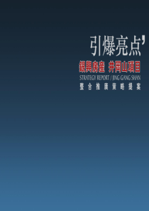 江西井冈山银兴首席度假社区整合推广策略提案_74PPT