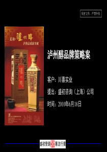 泸州醇品牌策略案