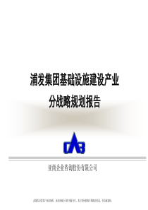 浦发集团分战略报告p