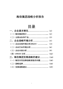 海信集团战略分析报告(打印)