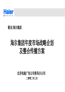 海尔年度市场战略企划案