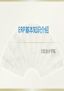 ERP信息系统审计基本知识培训pdf