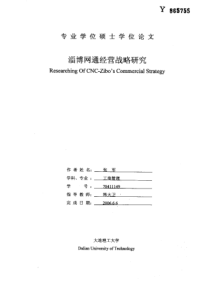 淄博网通经营战略研究