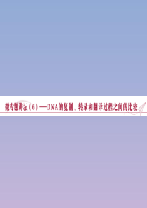 2019-2020学年高中生物 第四章 遗传的分子基础 微专题讲坛（6）——DNA的复制、转录和翻译