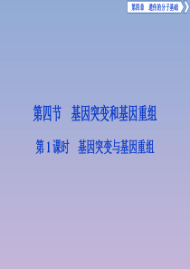 2019-2020学年高中生物 第四章 遗传的分子基础 第四节 基因突变和基因重组 第1课时 基因突