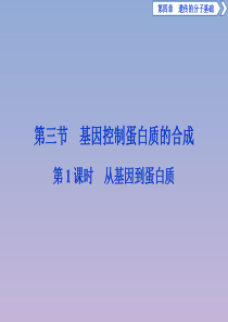 2019-2020学年高中生物 第四章 遗传的分子基础 第三节 基因控制蛋白质的合成 第1课时 从基