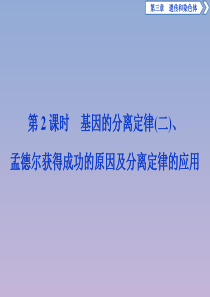 2019-2020学年高中生物 第三章 遗传和染色体 第一节 基因的分离定律 第2课时 基因的分离定