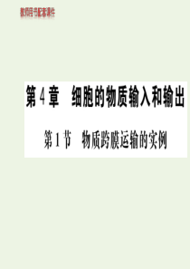 2019-2020学年高中生物 第4章 细胞的物质输入和输出 第1节 物质跨膜运输的实例课件 新人教