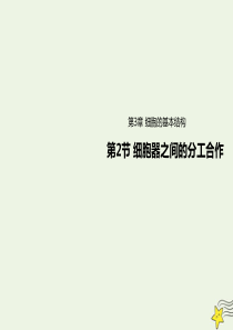 2019-2020学年高中生物 第3章 细胞的基本结构 第2节 细胞器之间的分工合作课件 新人教版必