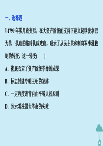 2019-2020学年高中历史 专题三 民主力量与专制势力的较量 四 拿破仑时代的欧洲民主课时检测夯