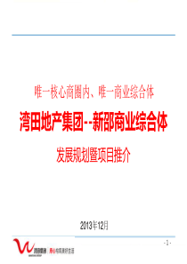 地产活动：重庆深蓝基良广场开盘公关活动策划方案-22页