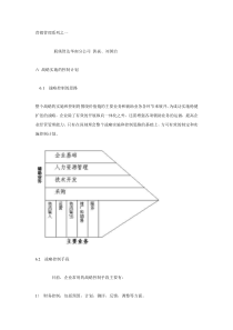 湖南九芝堂股份有限公司战略规划报告(六、七)