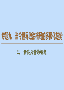 2019-2020学年高中历史 专题9 当今世界政治格局的多极化趁势 2 新兴力量的崛起课件 人民版