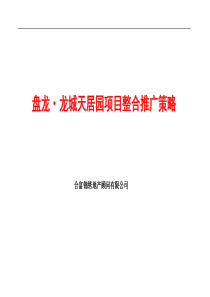 湖南武汉盘龙龙城天居园项目整合推广策略